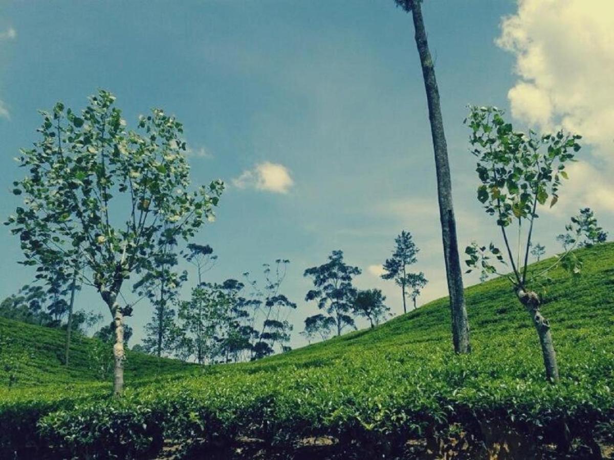 Lakshmis Hotel Ella Bagian luar foto